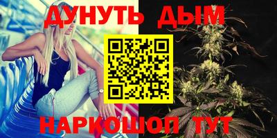 гидра Будённовск