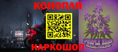 гидра Будённовск