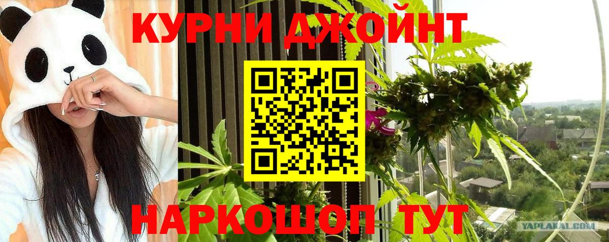 Пугачёв  МАРИХУАНА Amnesia  Марихуана OG Kush  Вход с VPN  Конопля ГИДРОПОН 